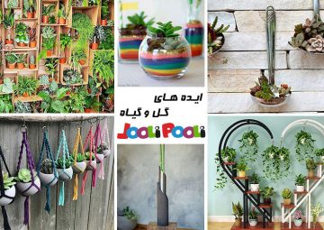 ۱۰ ایده جالب برای تزیین گل و گیاهان در منزل