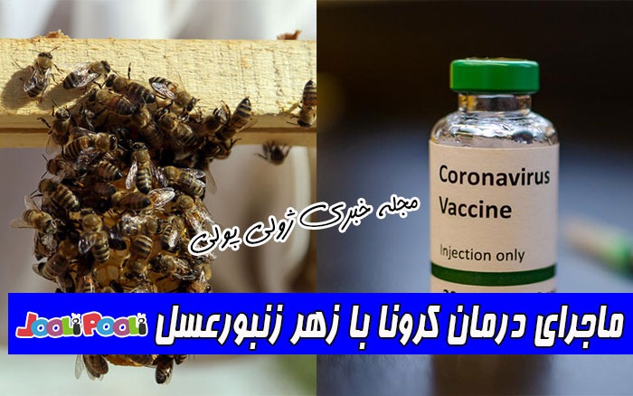 درمان کرونا با زهر زنبورعسل
